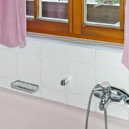 Grosse Ferienwohnung- Apartment Grossarl